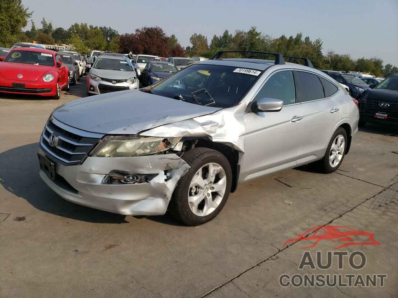 HONDA ACCORD 2010 - 5J6TF1H51AL013805