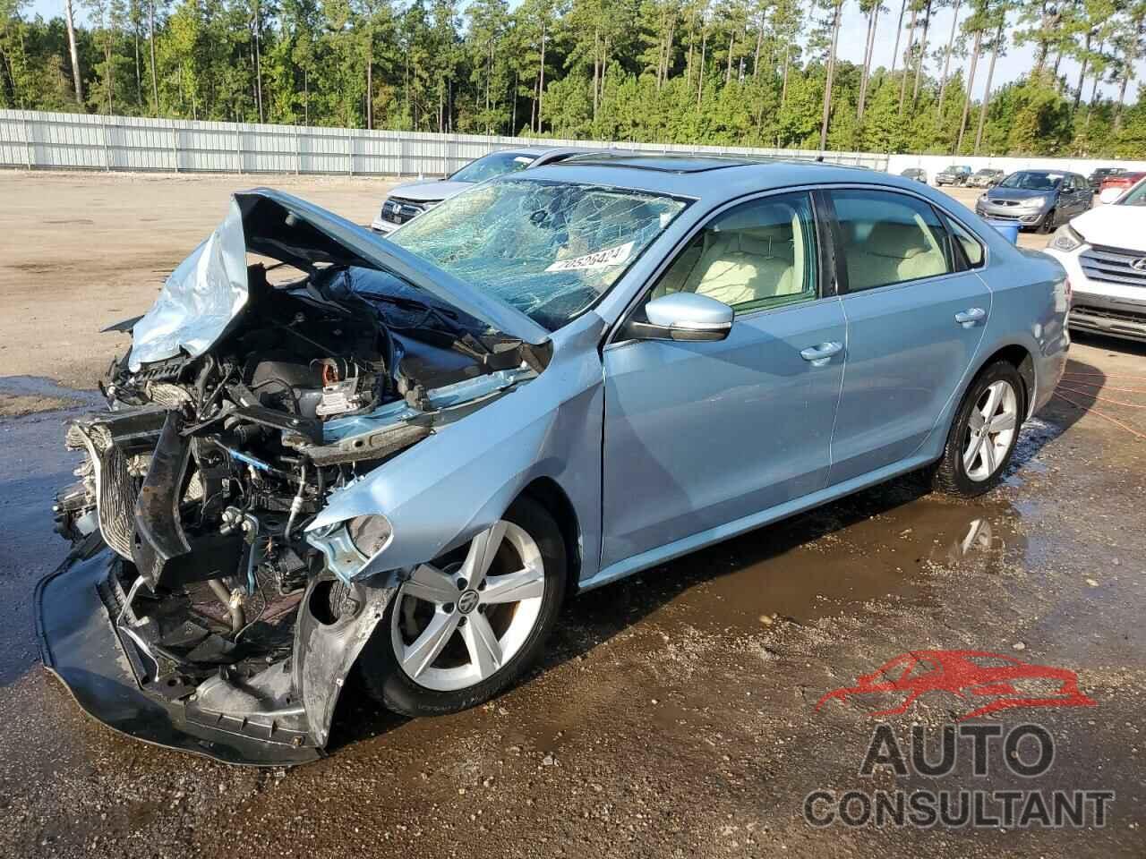 VOLKSWAGEN PASSAT 2013 - 1VWBH7A33DC076638
