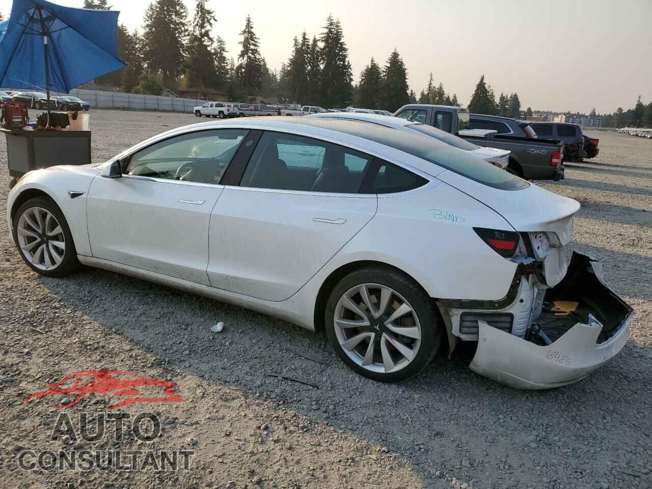 TESLA MODEL 3 2019 - 5YJ3E1EA2KF446497