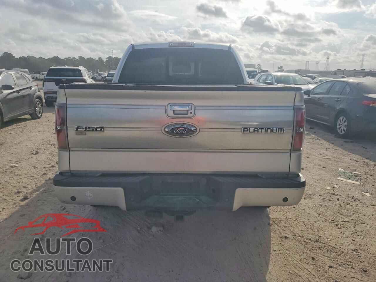 FORD F150 2011 - 1FTFW1CF1BFD01763