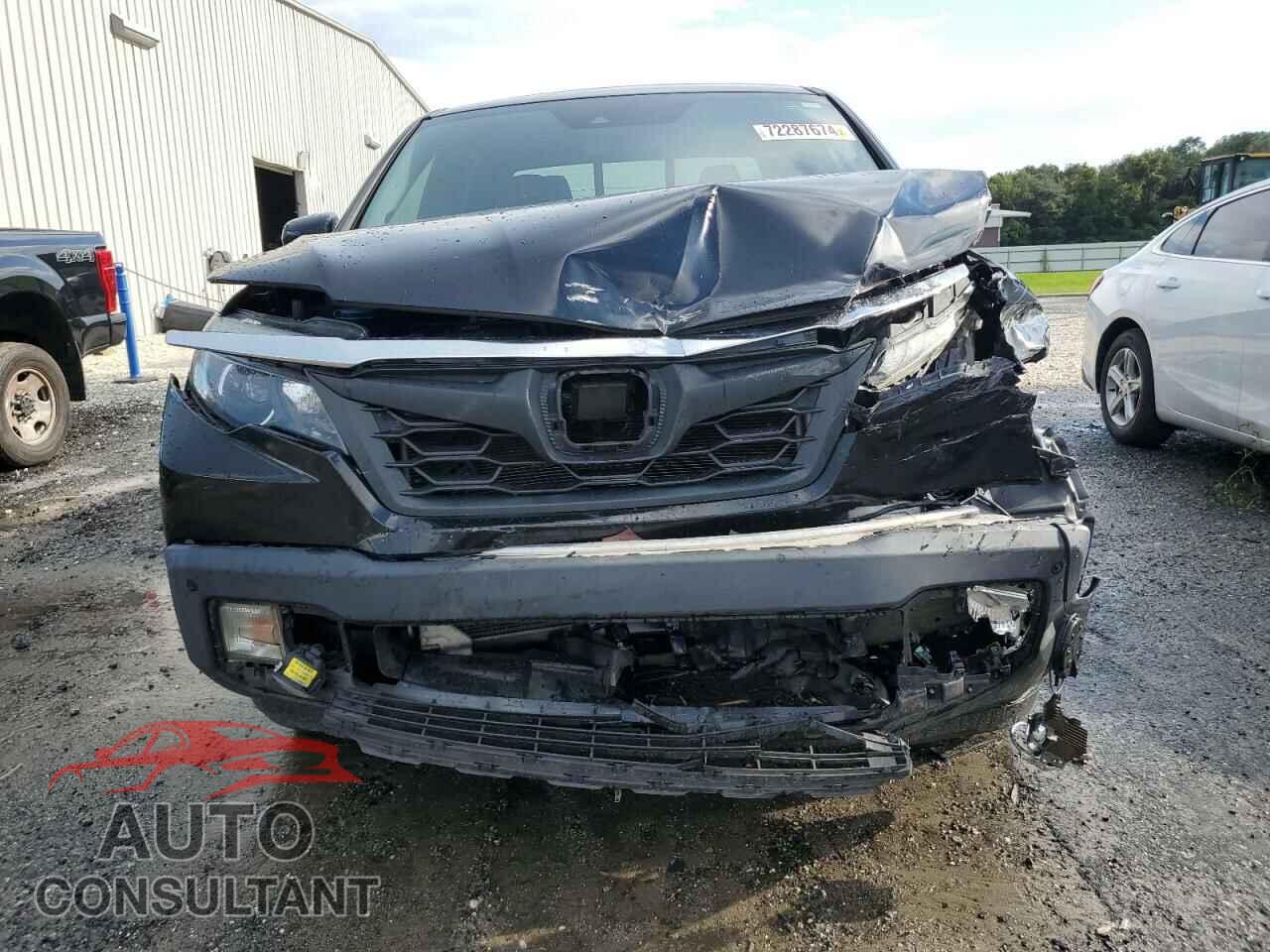 HONDA RIDGELINE 2019 - 5FPYK3F81KB030874