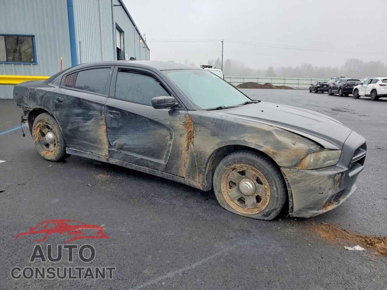 DODGE CHARGER 2014 - 2C3CDXAT0EH133061