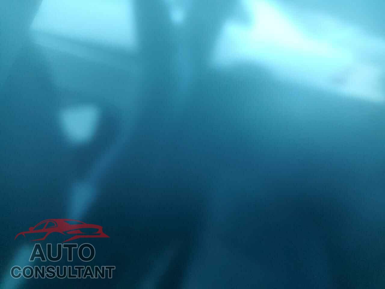 TESLA MODEL 3 2024 - 5YJ3E1EA5RF731494