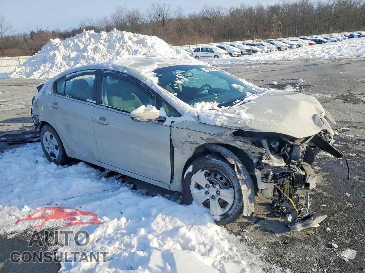 KIA FORTE 2015 - KNAFK4A65F5292526