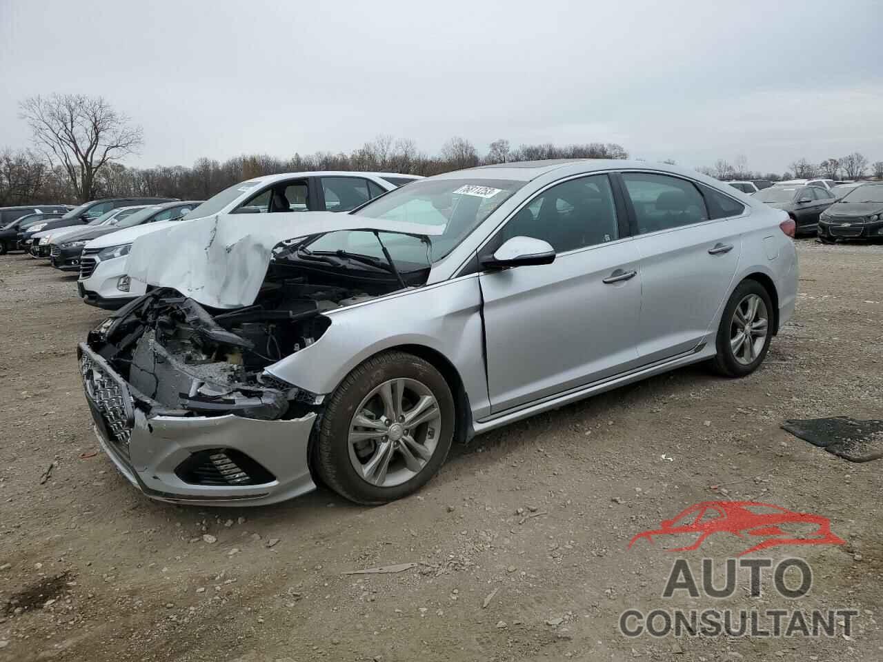 HYUNDAI SONATA 2019 - 5NPE34AF2KH821274