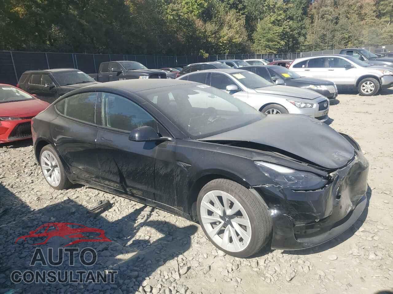 TESLA MODEL 3 2022 - 5YJ3E1EA9NF187575