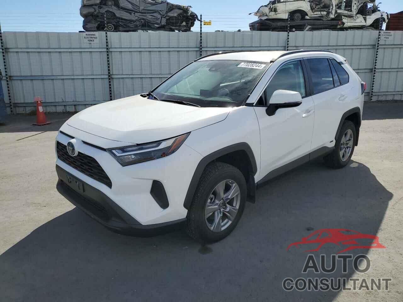 TOYOTA RAV4 2024 - 4T3MWRFV2RU116459