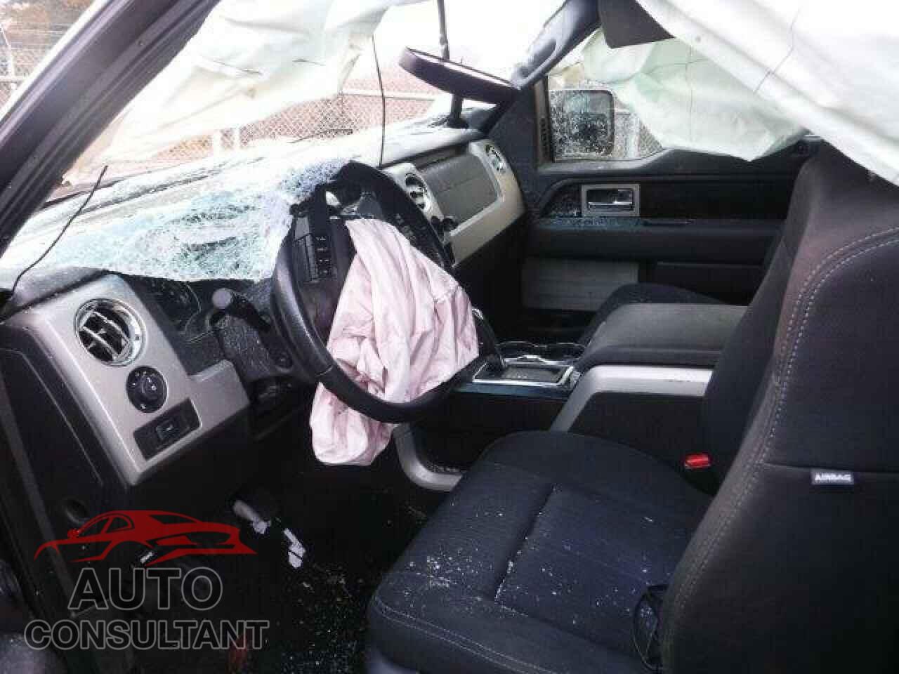 FORD F-150 2011 - 1FTFX1EF5BFB40490
