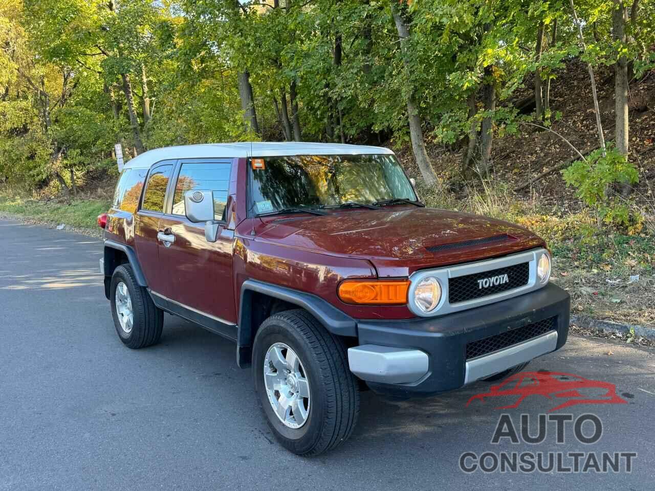 TOYOTA FJ CRUISER 2010 - JTEBU4BFXAK098171