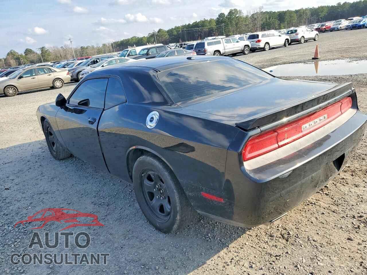 DODGE CHALLENGER 2013 - 2C3CDYBT3DH558387