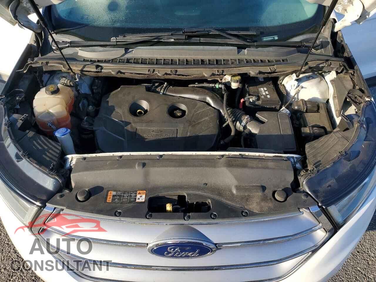 FORD EDGE 2017 - 2FMPK3J96HBB69341