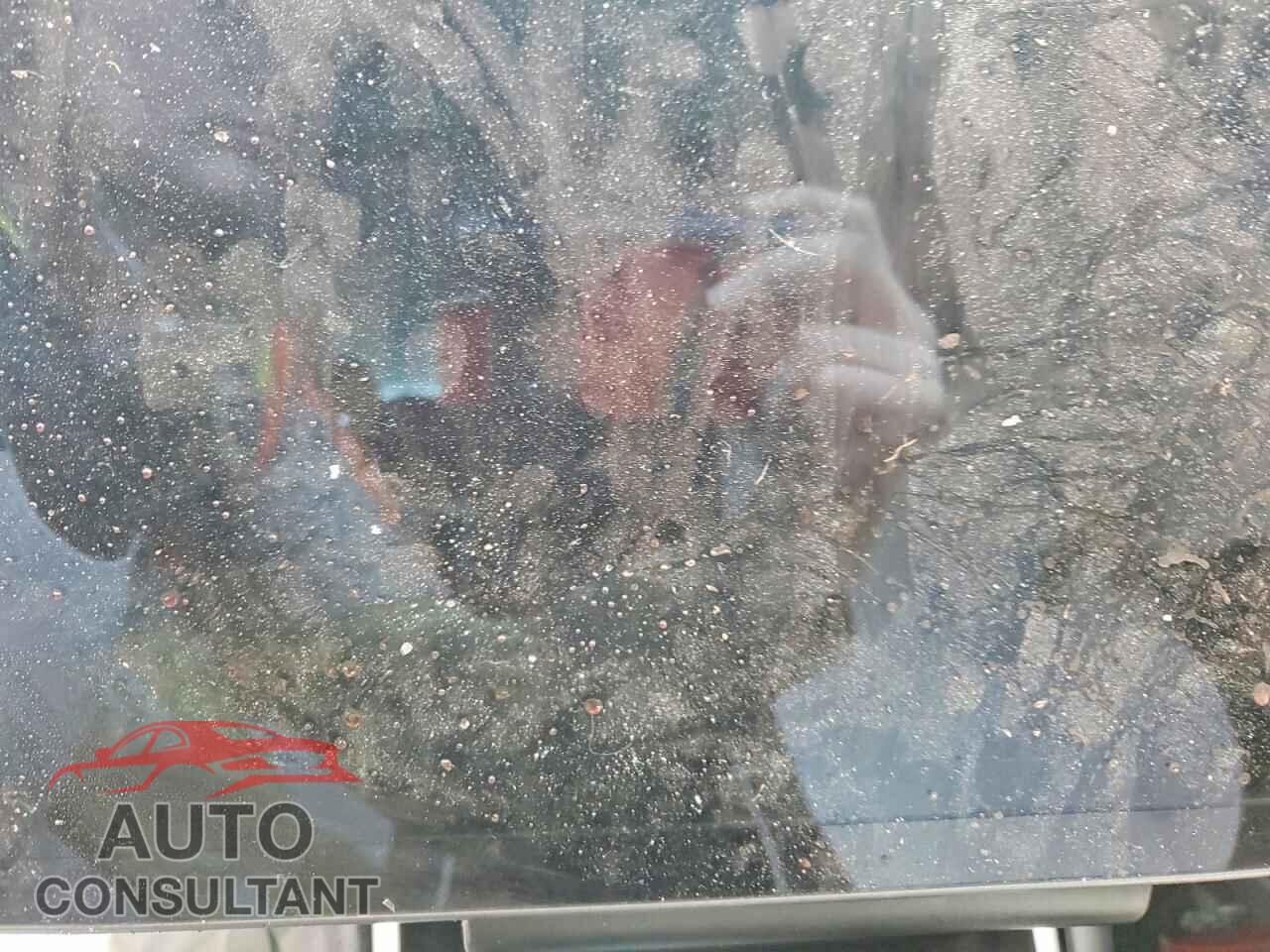TESLA MODEL 3 2019 - 5YJ3E1EA4KF323445