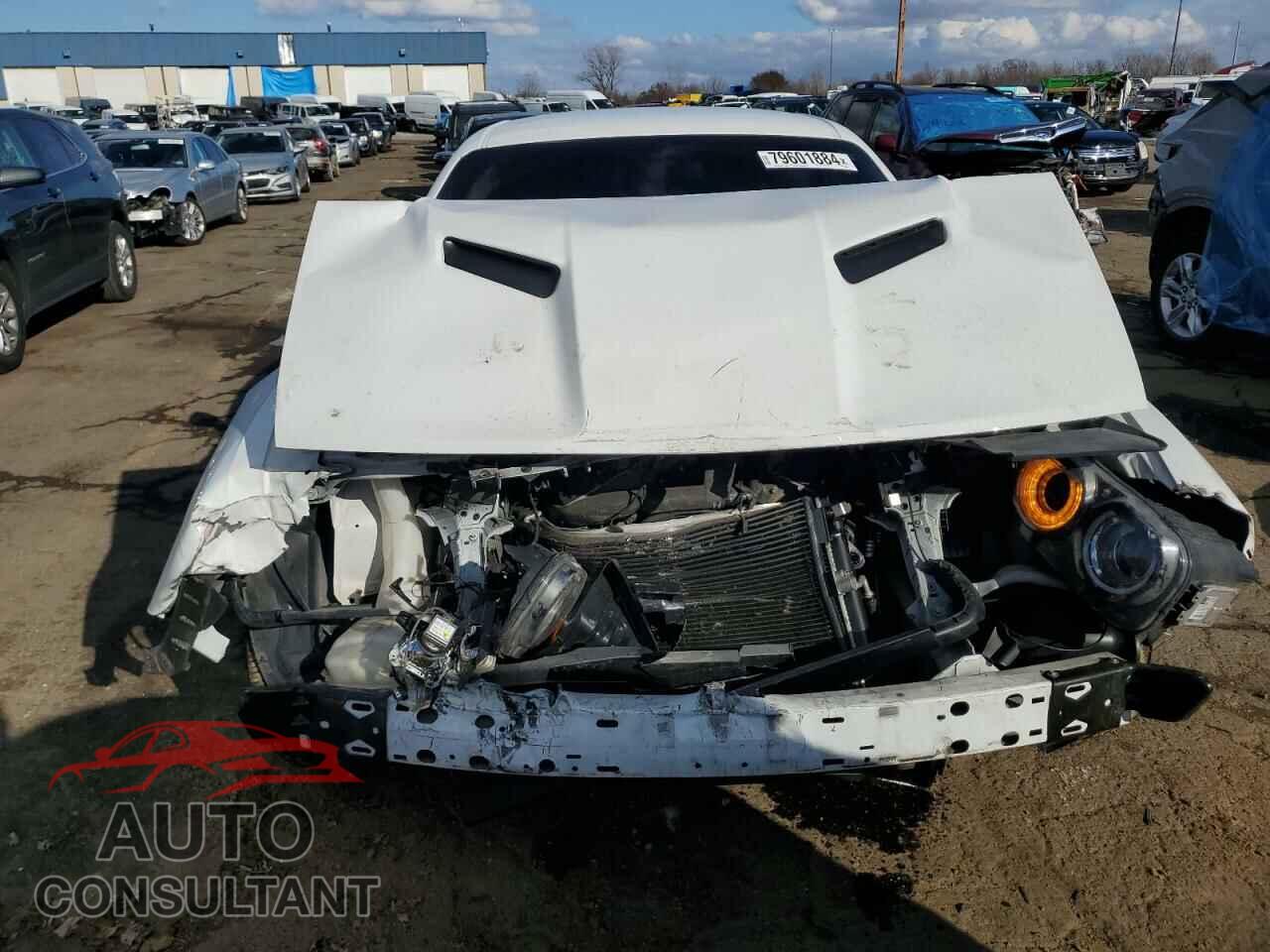 DODGE CHALLENGER 2019 - 2C3CDZGG5KH706568