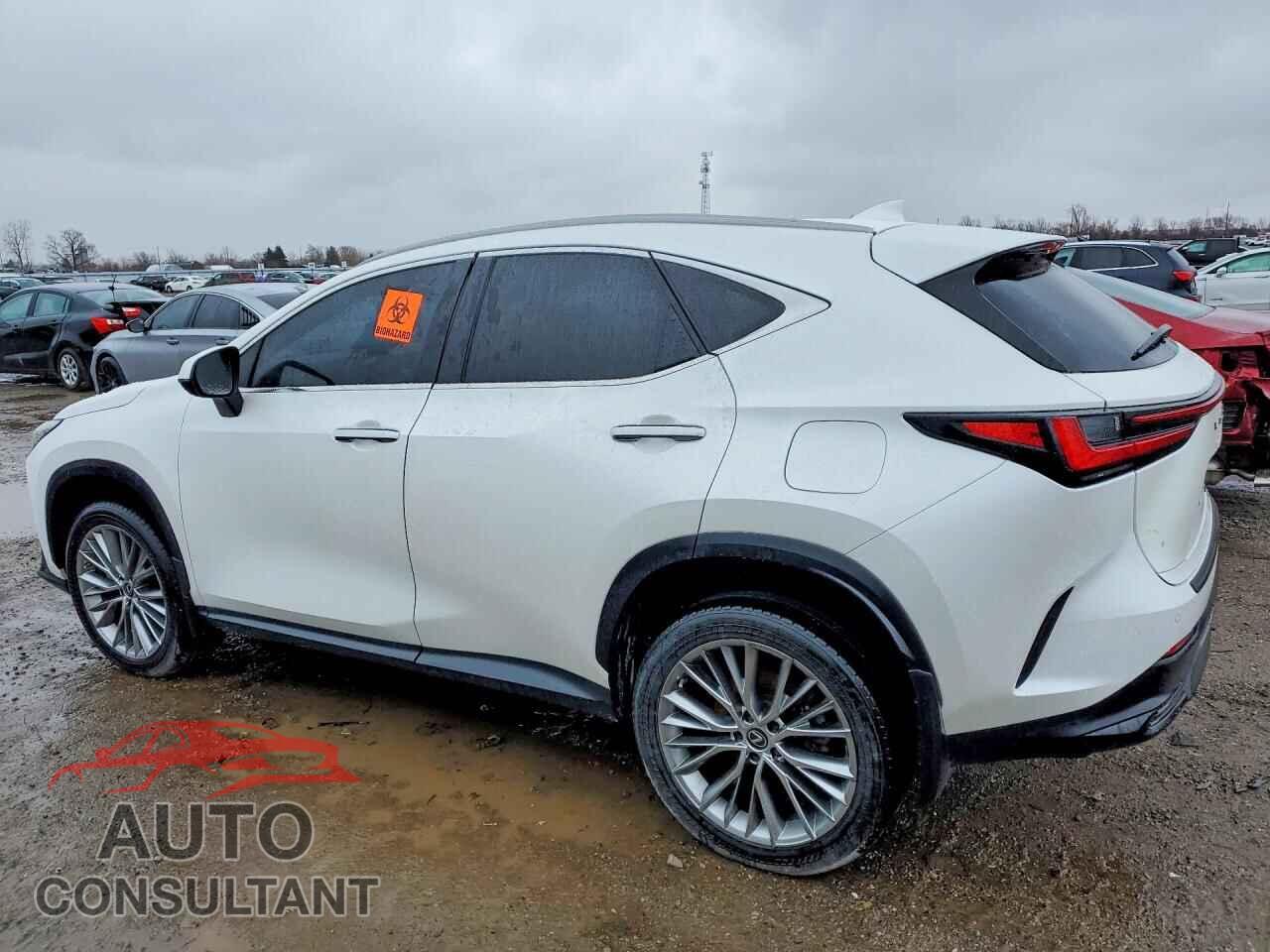 LEXUS NX 2023 - 2T2GKCEZ3PC012026
