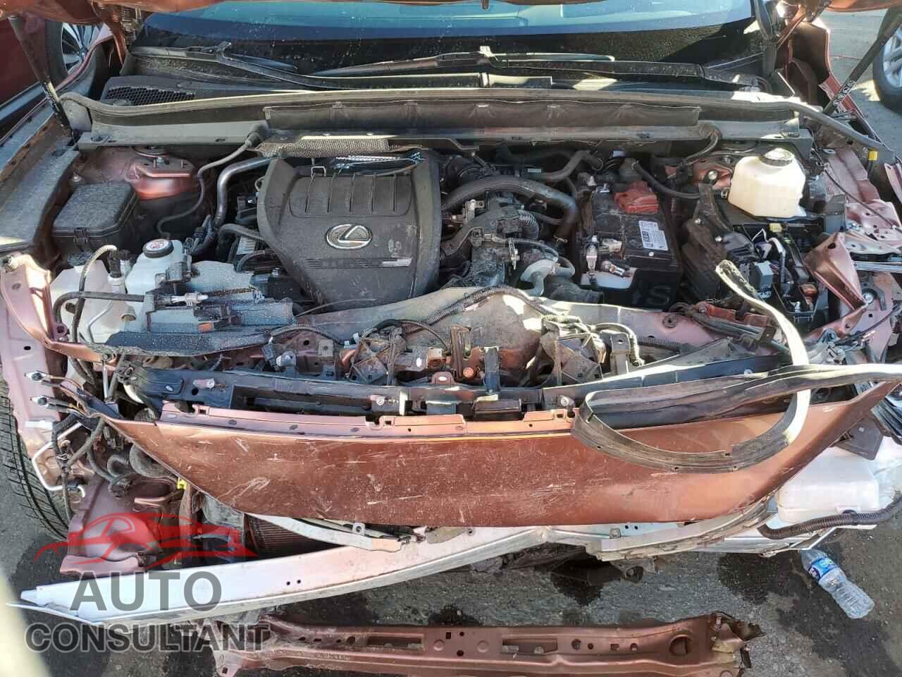 LEXUS RX350 2023 - 2T2BAMBA0PC007755