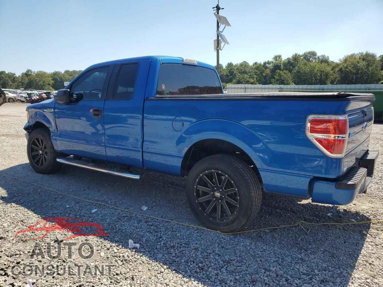 FORD F-150 2013 - 1FTFX1CFXDFD08145
