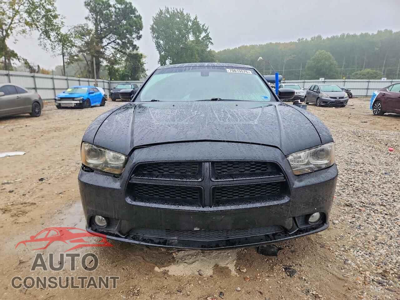DODGE CHARGER 2014 - 2C3CDXCT9EH100749