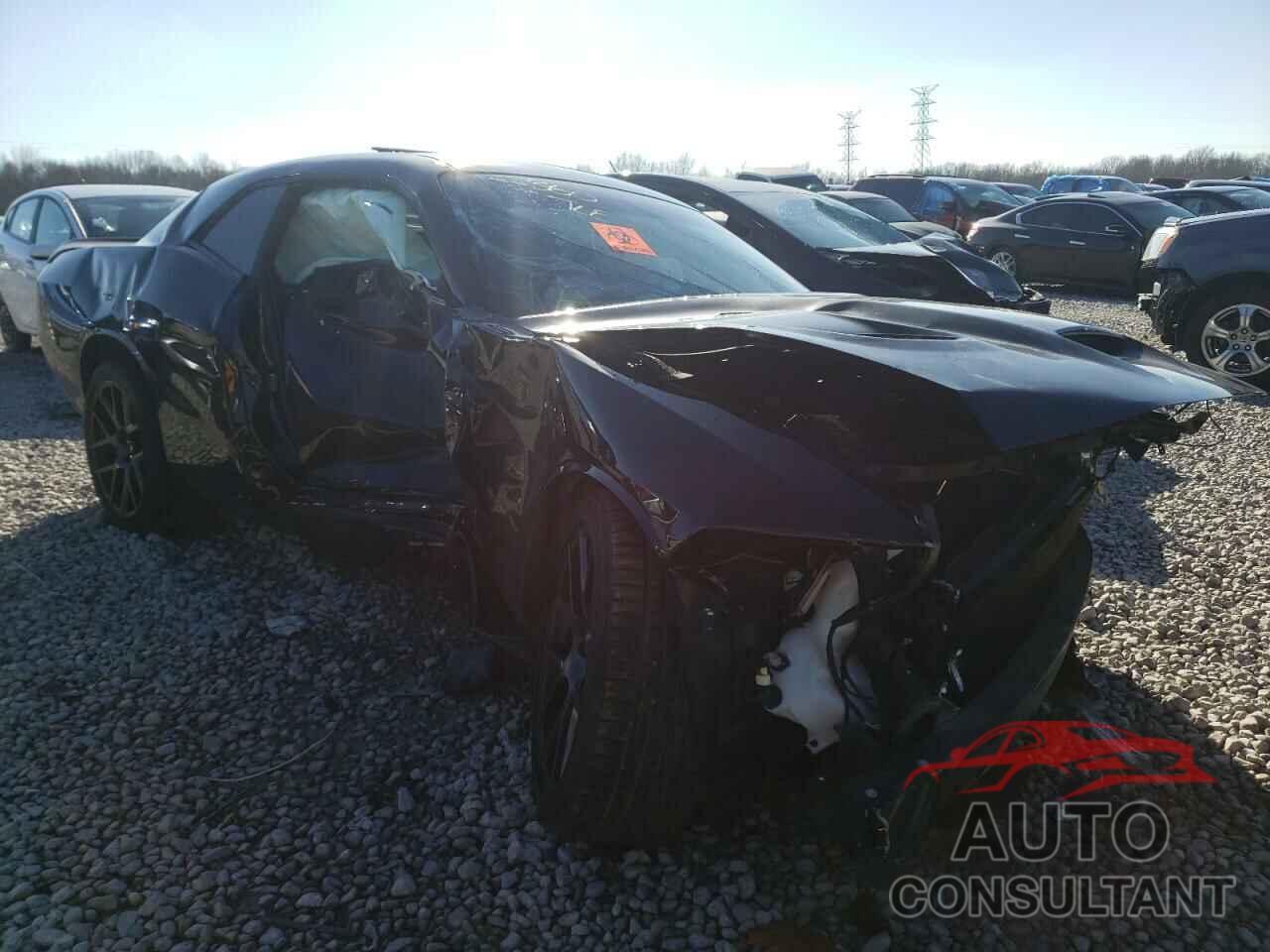 DODGE CHALLENGER 2019 - 2C3CDZFJXKH719619