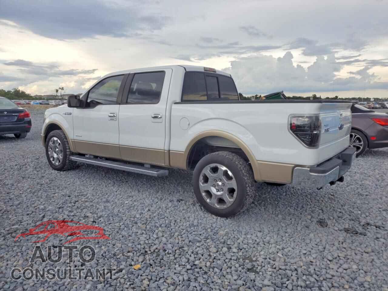 FORD F150 2011 - 1FTFW1CT8BFB96063