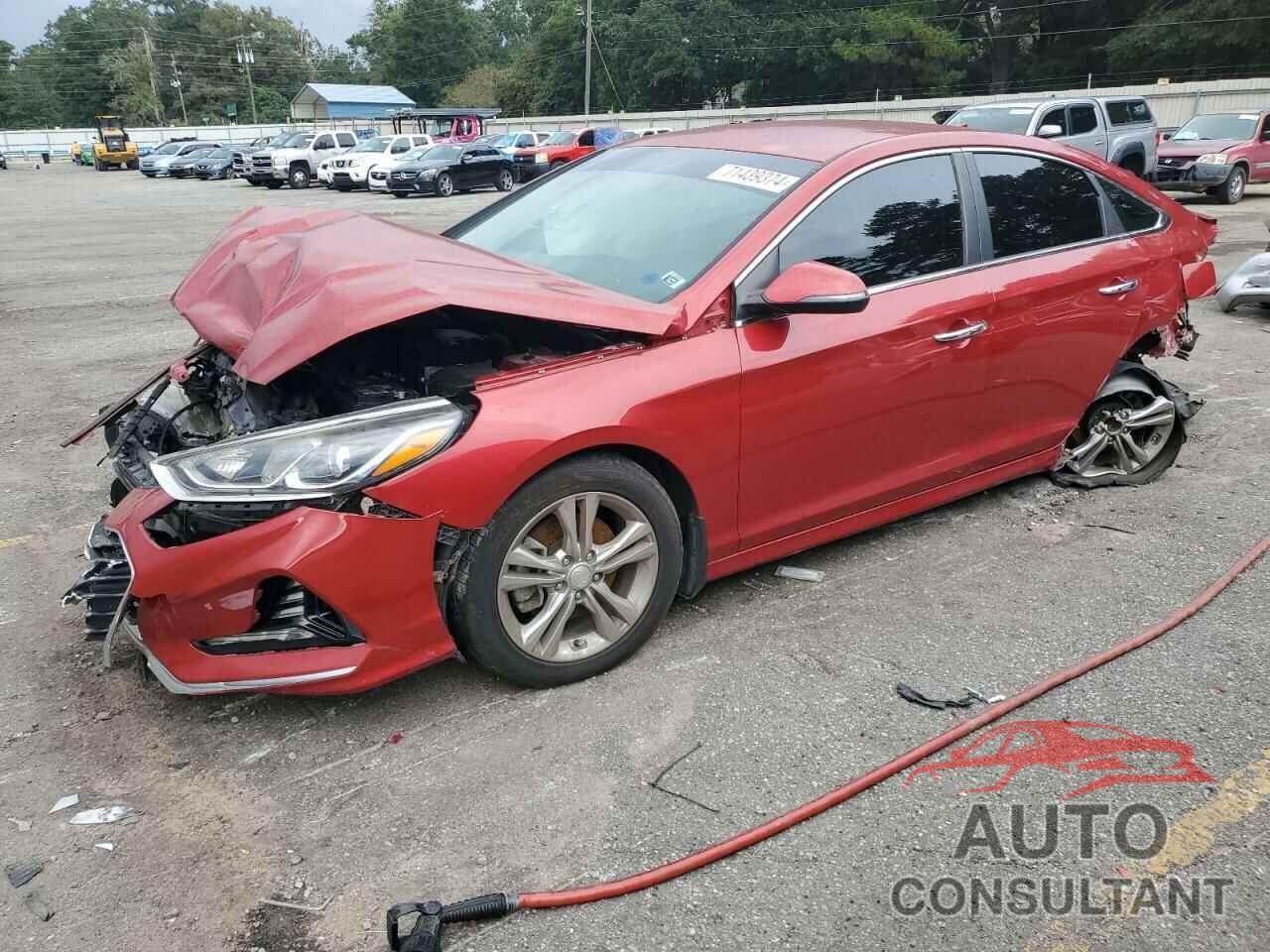 HYUNDAI SONATA 2018 - 5NPE34AF4JH658304