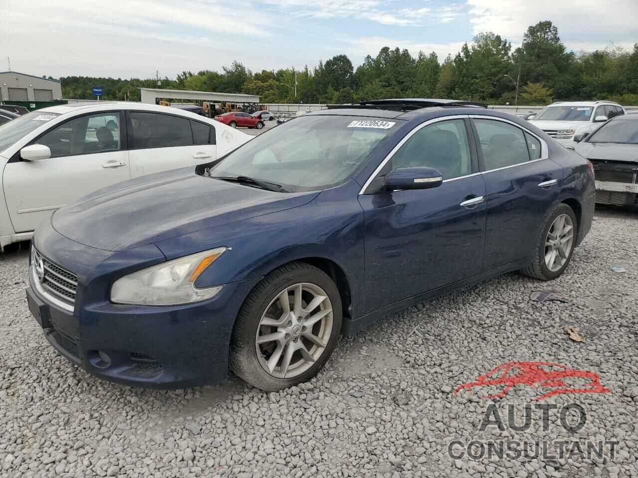 NISSAN MAXIMA 2010 - 1N4AA5AP7AC856475