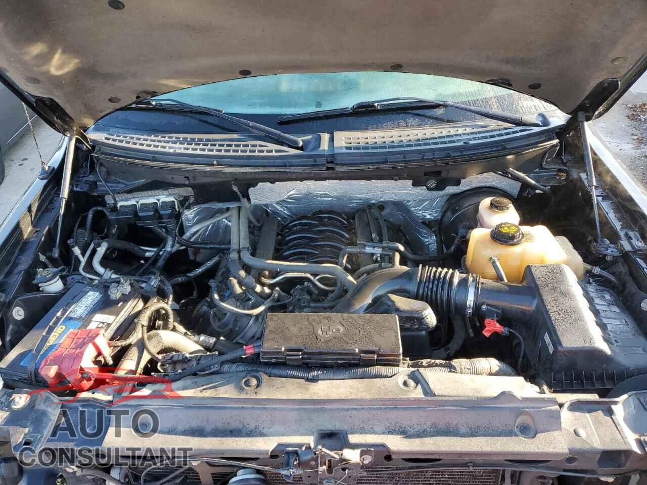 FORD F-150 2013 - 1FTFX1CF1DFA78687