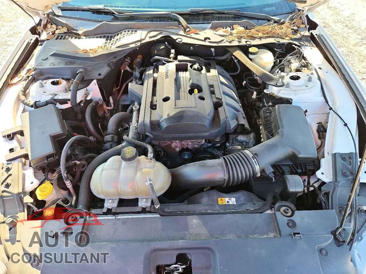 FORD MUSTANG 2017 - 1FA6P8TH1H5210021