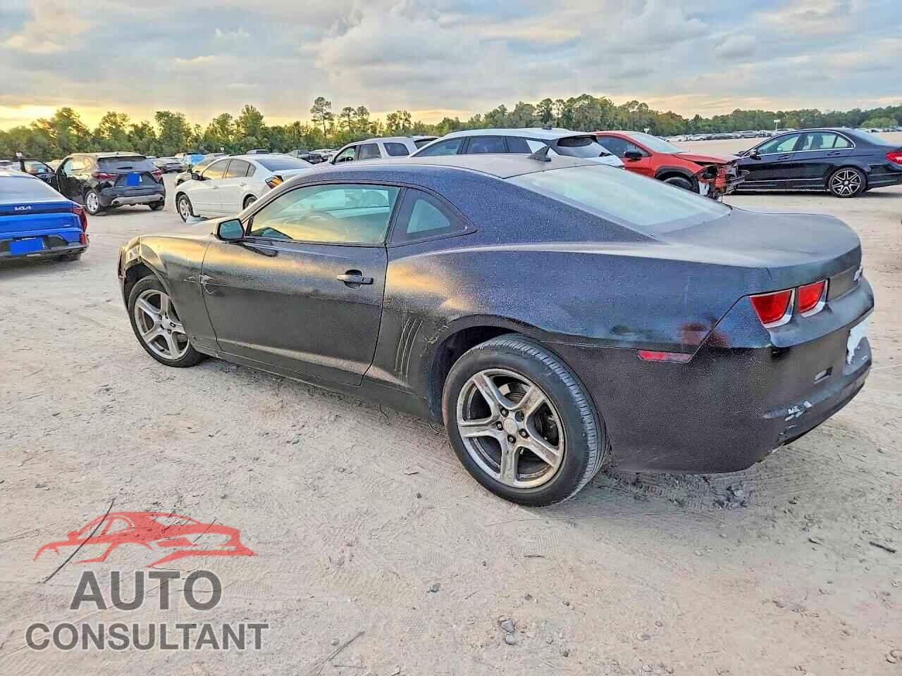CHEVROLET CAMARO 2011 - 2G1FB1ED0B9101921