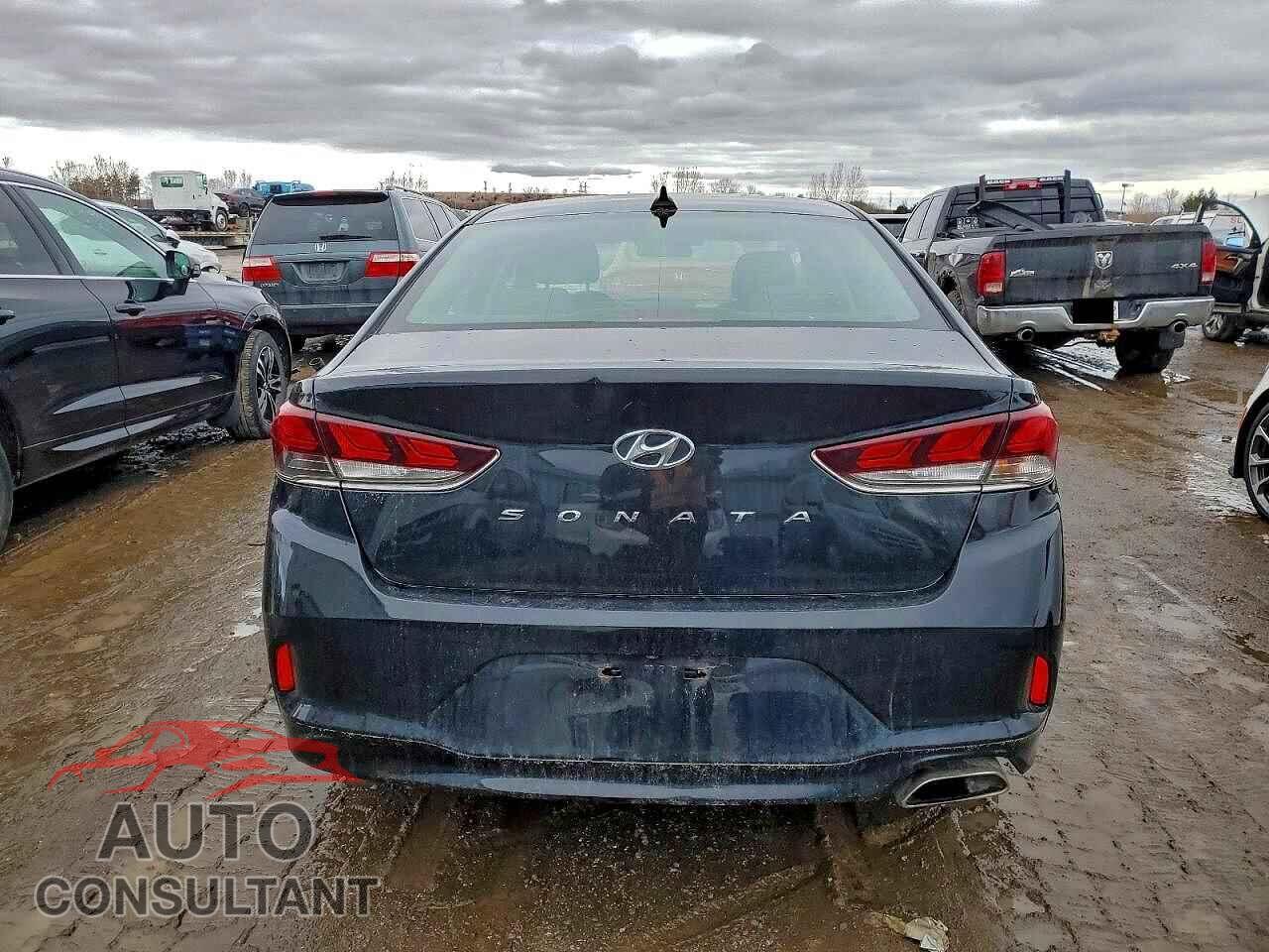 HYUNDAI SONATA 2018 - 5NPE24AF5JH691900