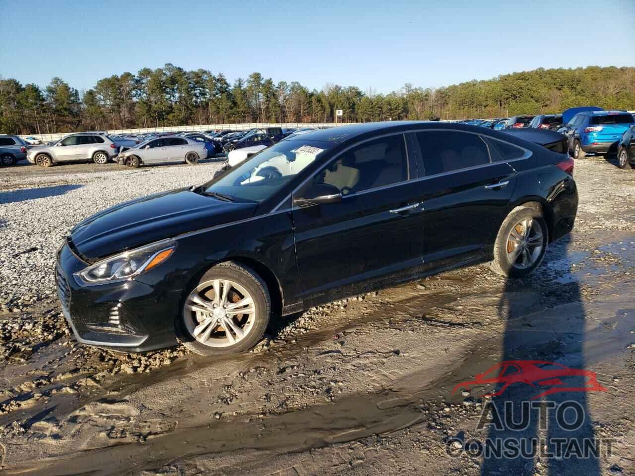 HYUNDAI SONATA 2018 - 5NPE34AF4JH663356