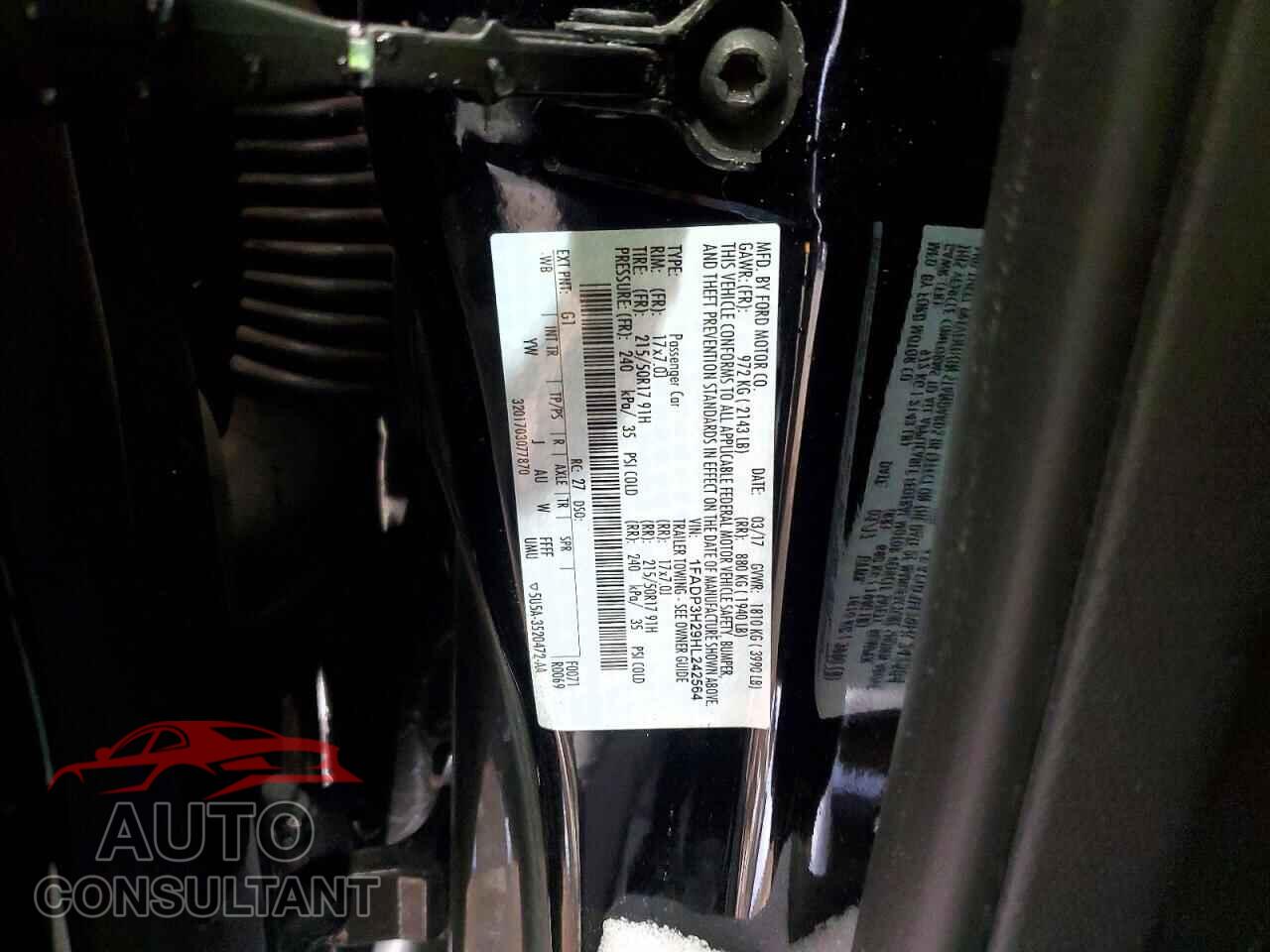 FORD FOCUS 2017 - 1FADP3H29HL242564