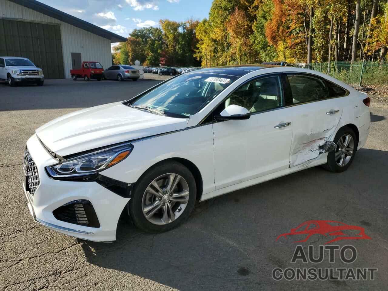 HYUNDAI SONATA 2019 - 5NPE34AF9KH732768