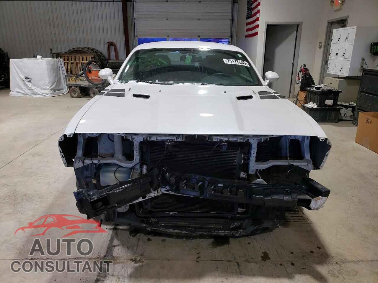 DODGE CHALLENGER 2014 - 2C3CDYBT0EH274460