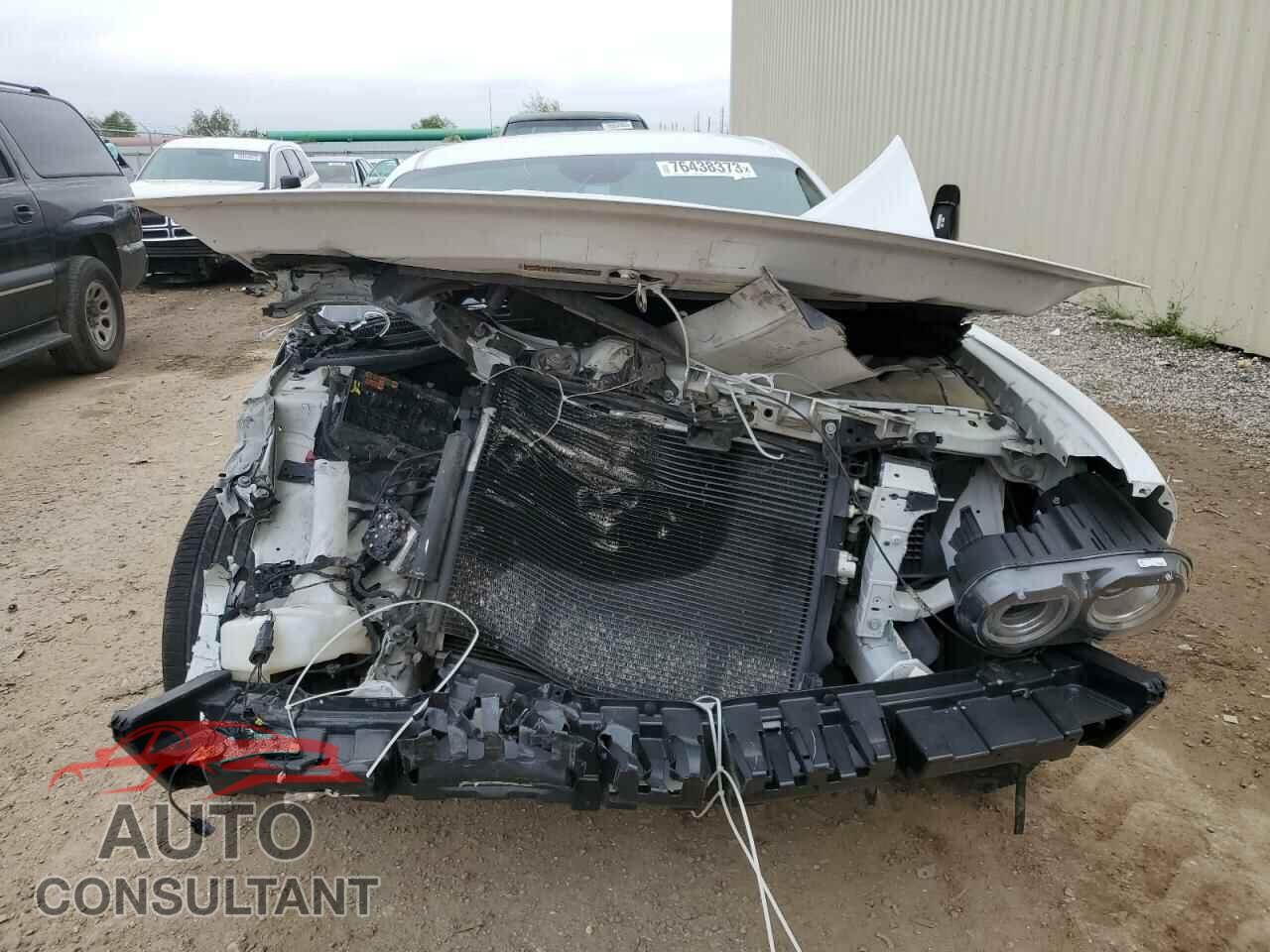 DODGE CHALLENGER 2019 - 2C3CDZBT5KH538922
