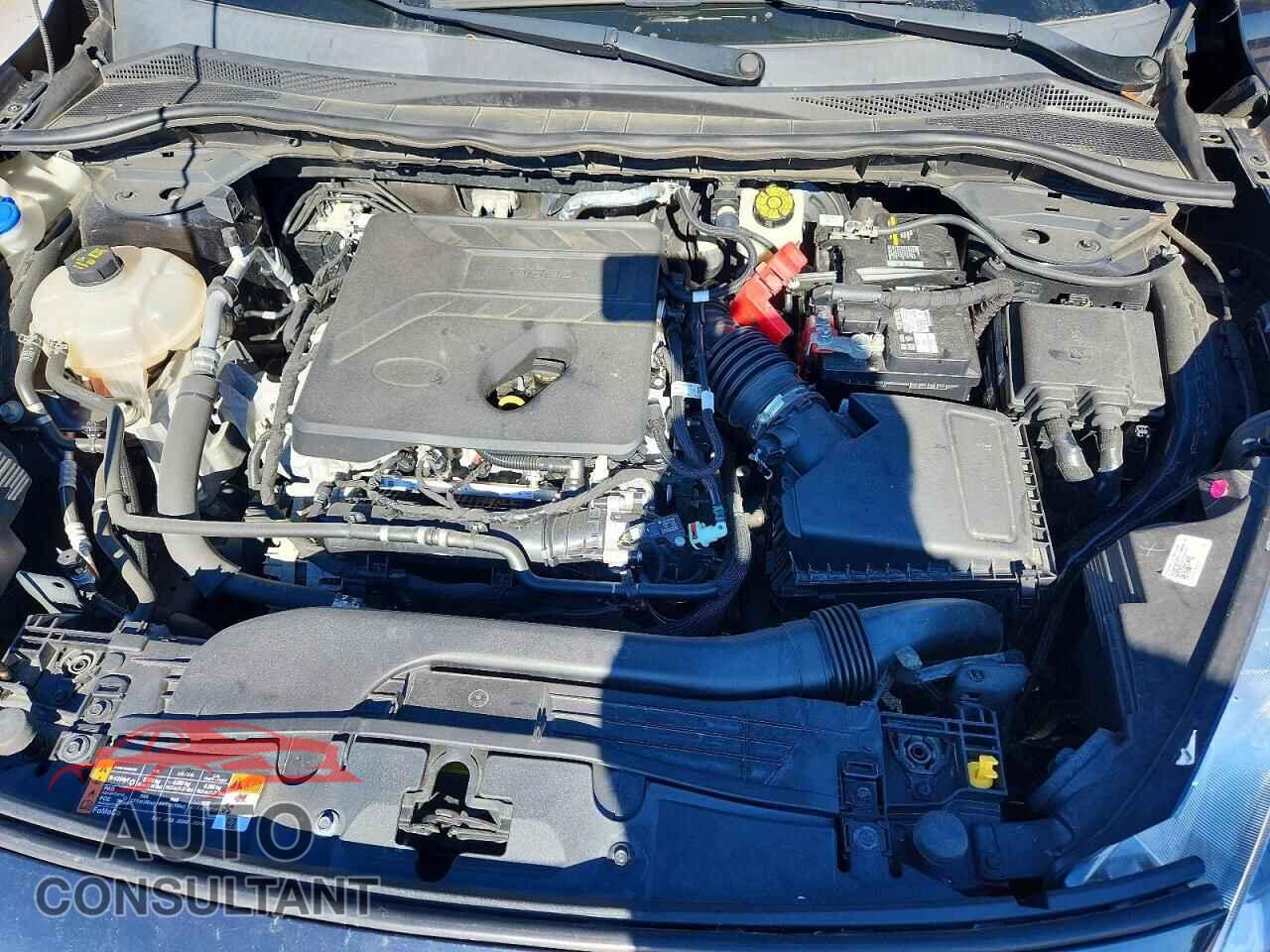 FORD ESCAPE 2020 - 1FMCU0G64LUA81587