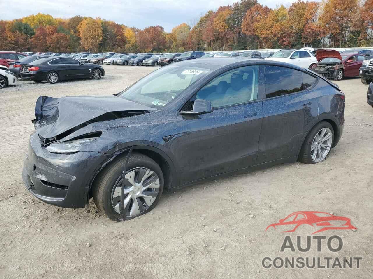 TESLA MODEL Y 2024 - 7SAYGDEE1RA253742