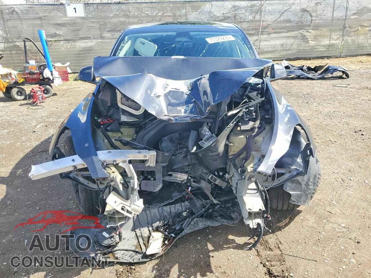 TESLA MODEL Y 2024 - 7SAYGDED2RF019488