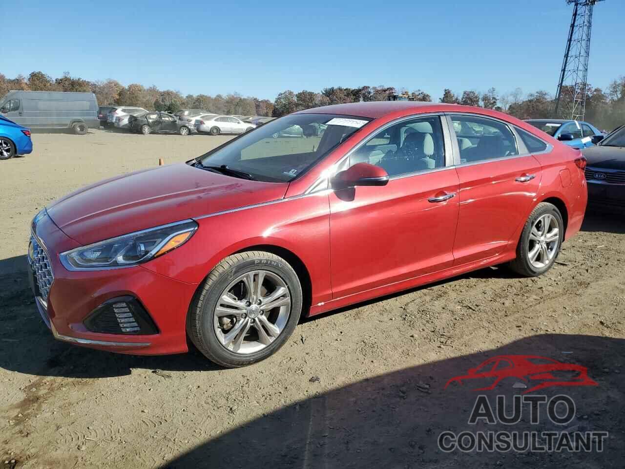 HYUNDAI SONATA 2019 - 5NPE34AF7KH748807