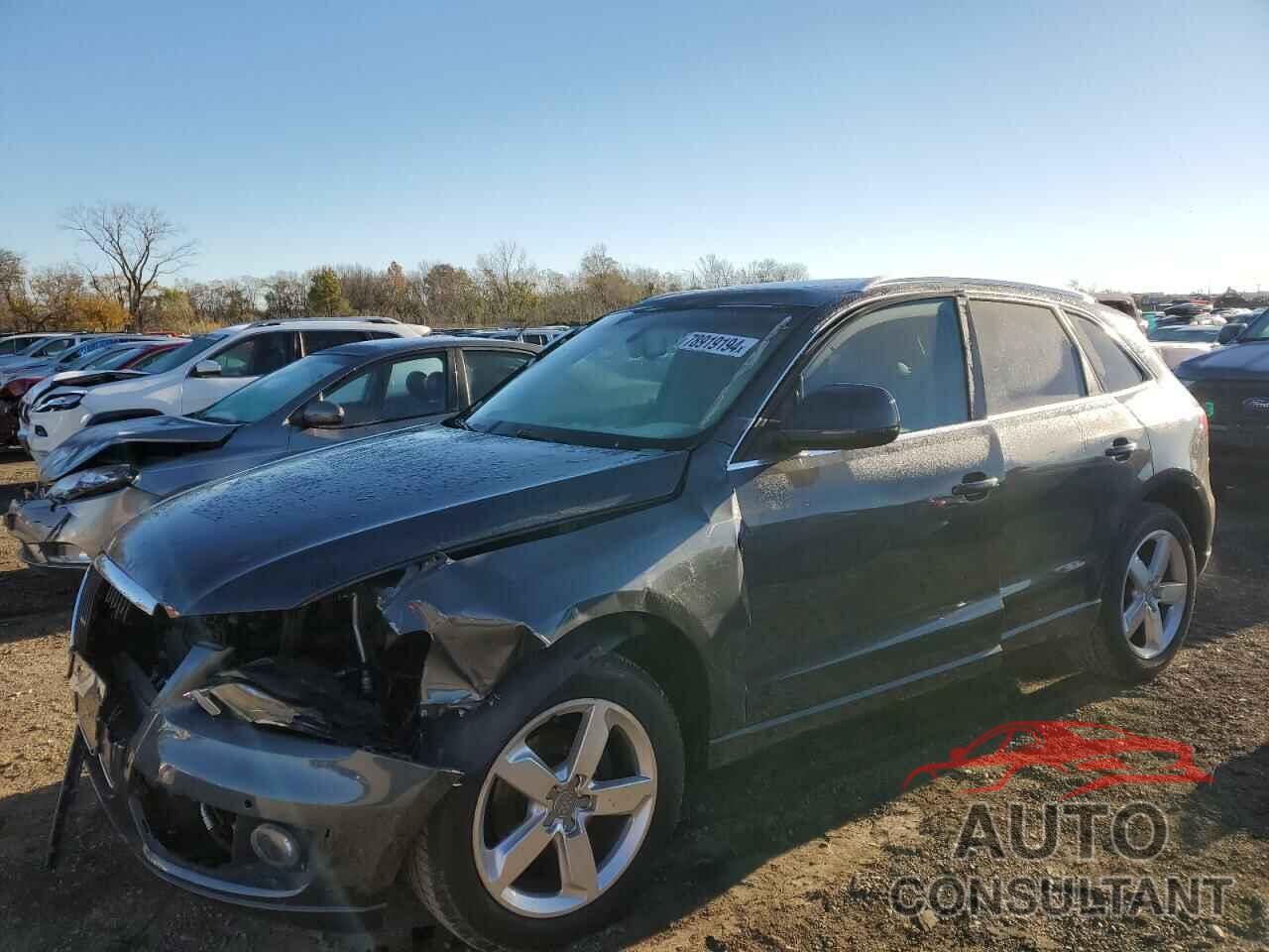 AUDI Q5 2010 - WA1LKAFP2AA028020