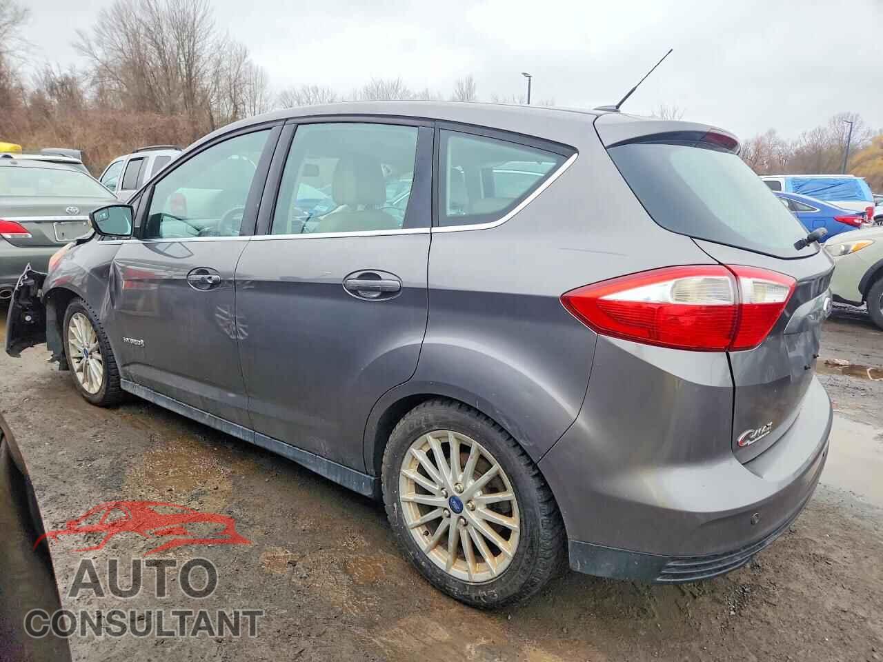 FORD C-MAX SEL 2013 - 1FADP5BU5DL504838