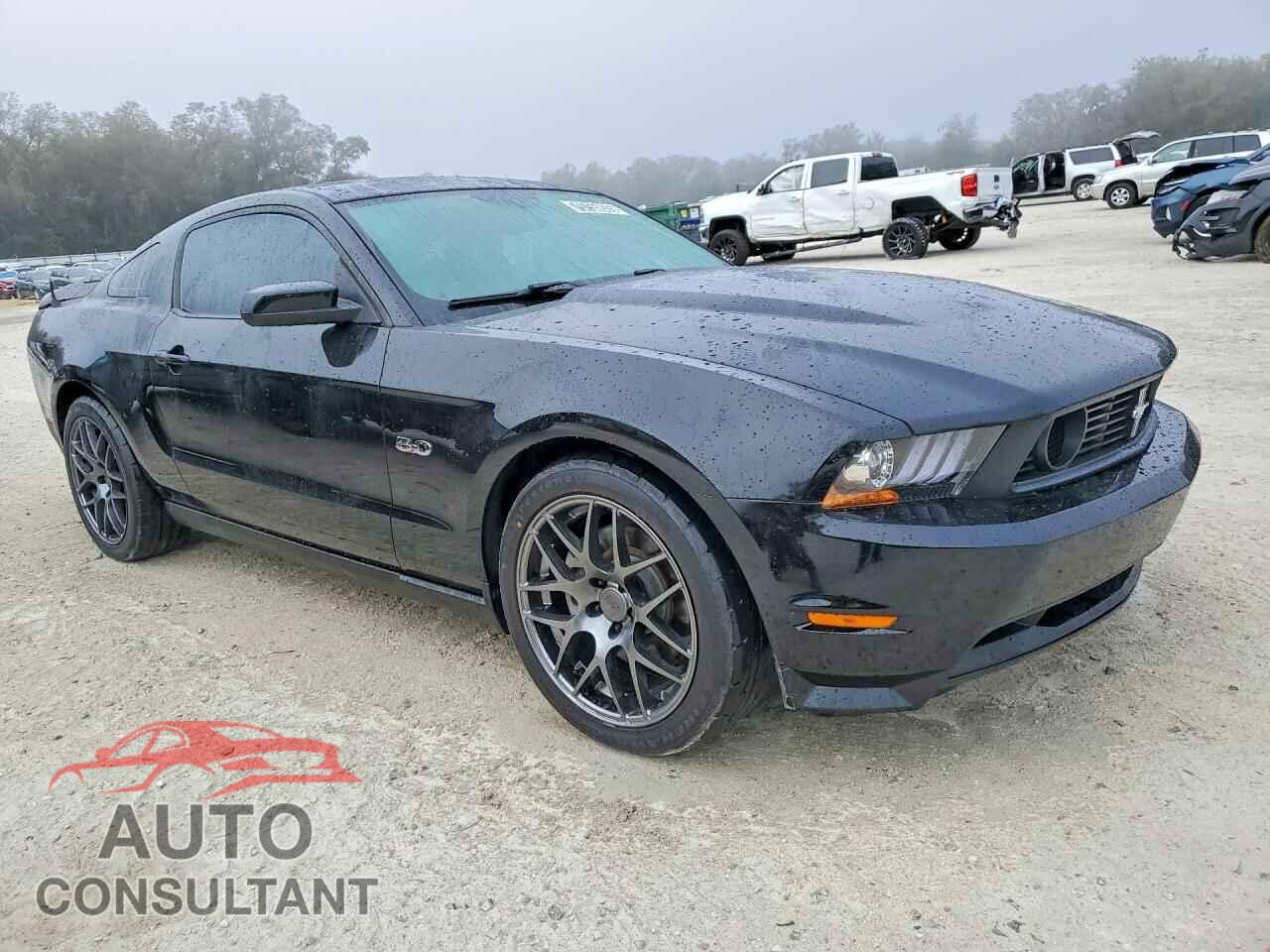 FORD MUSTANG 2011 - 1ZVBP8CF2B5138547