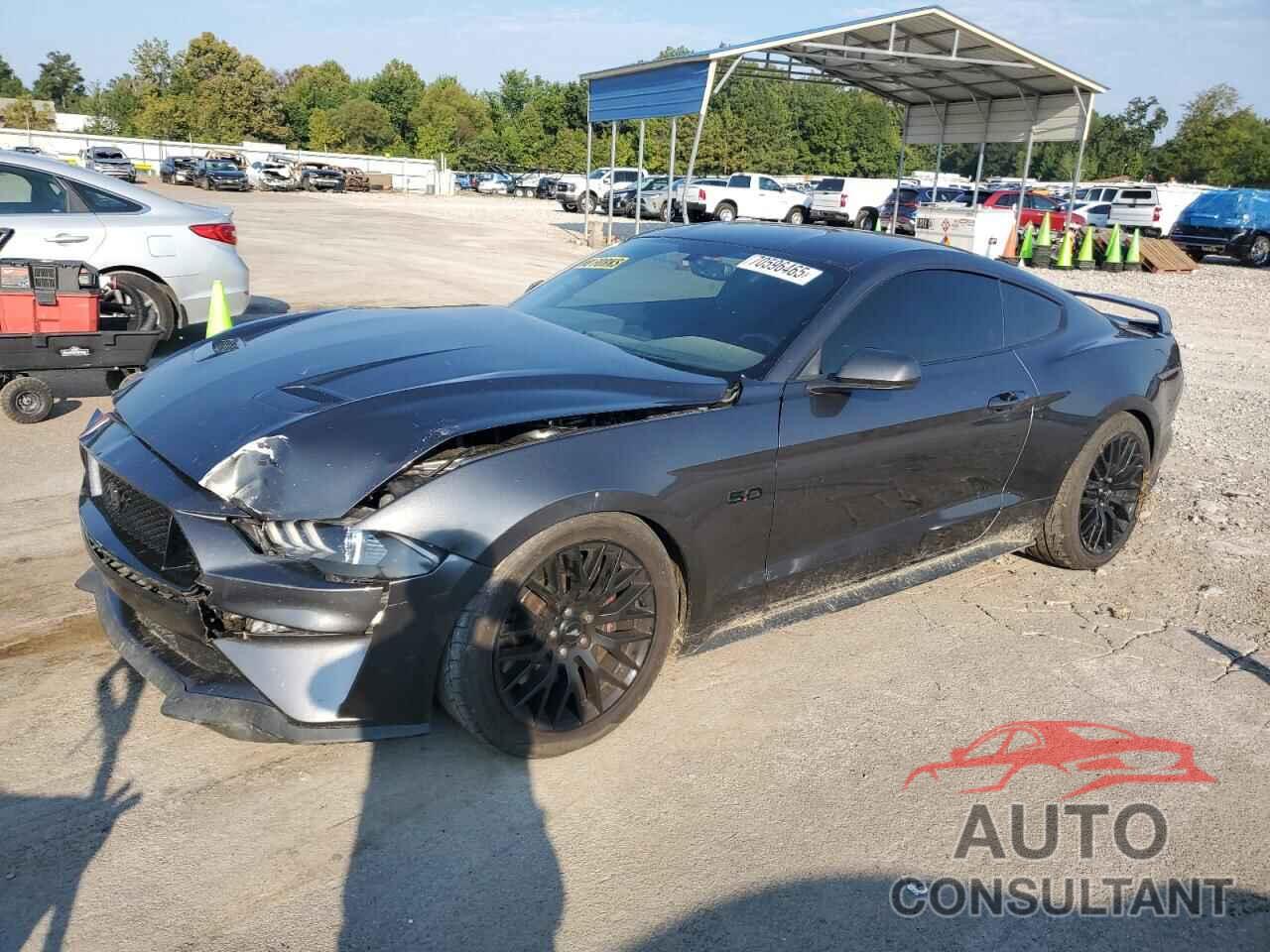FORD MUSTANG 2019 - 1FA6P8CF3K5124358