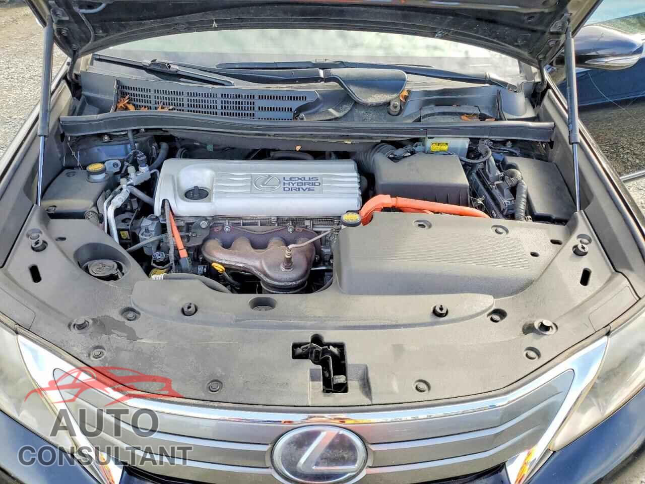 LEXUS HS 2010 - JTHBB1BA0A2009638