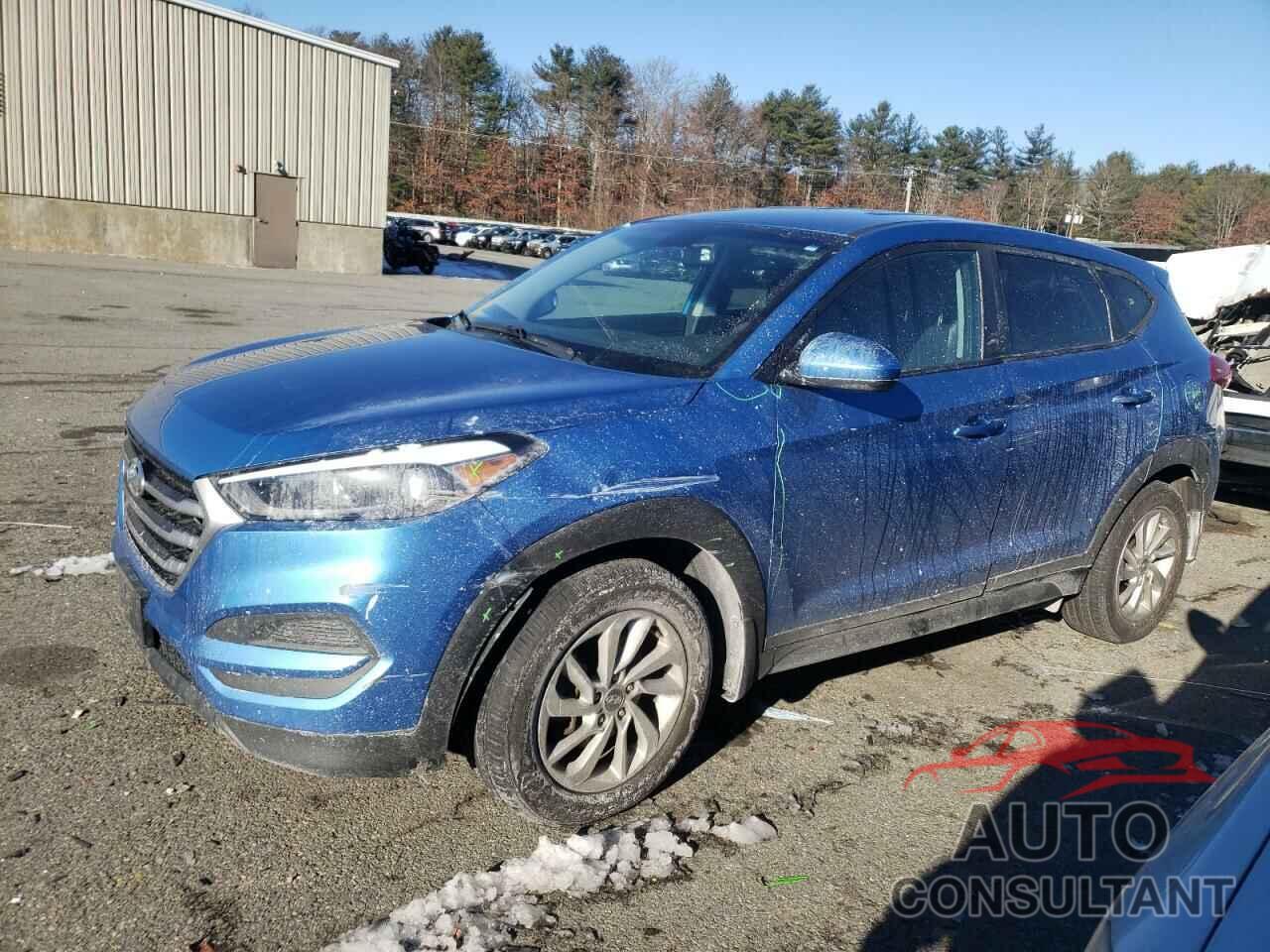 HYUNDAI TUCSON 2017 - KM8J23A41HU396795