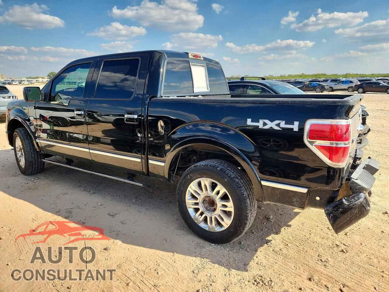 FORD F150 2011 - 1FTFW1ET5BFD09450