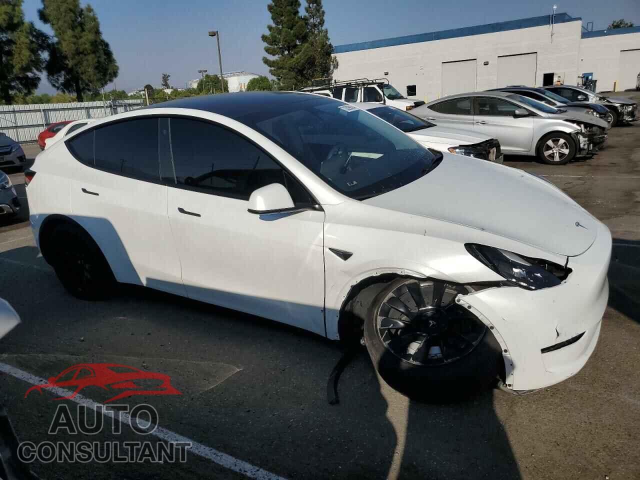 TESLA MODEL Y 2023 - 7SAYGDEE5PF690112