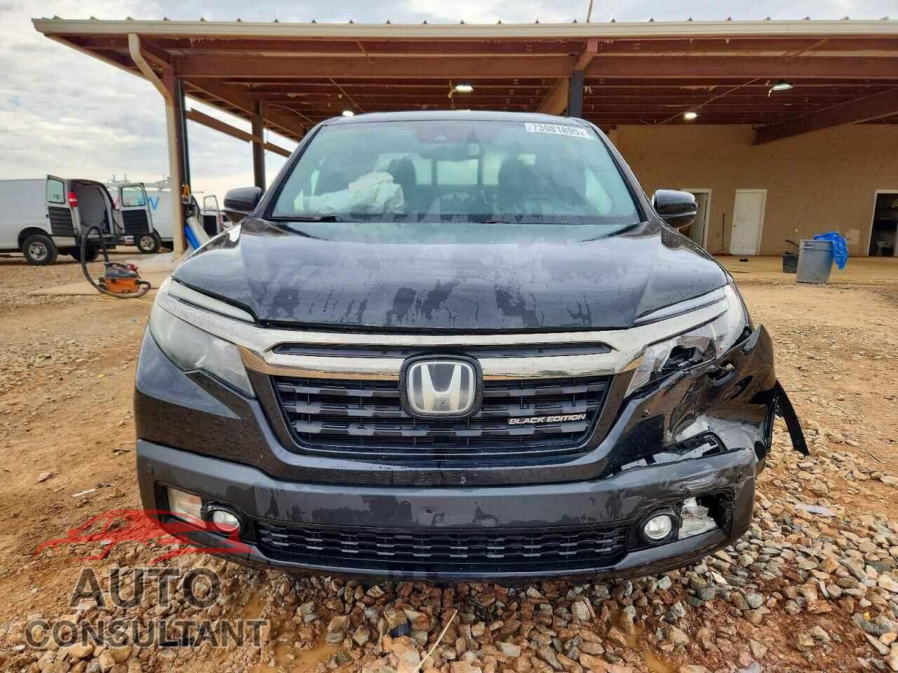 HONDA RIDGELINE 2019 - 5FPYK3F84KB007802