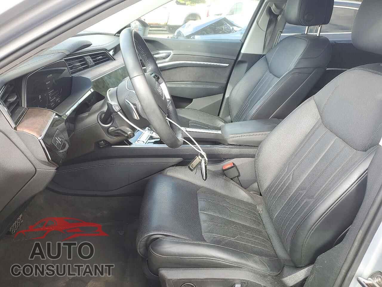 AUDI E-TRON 2019 - WA1VABGE4KB012671