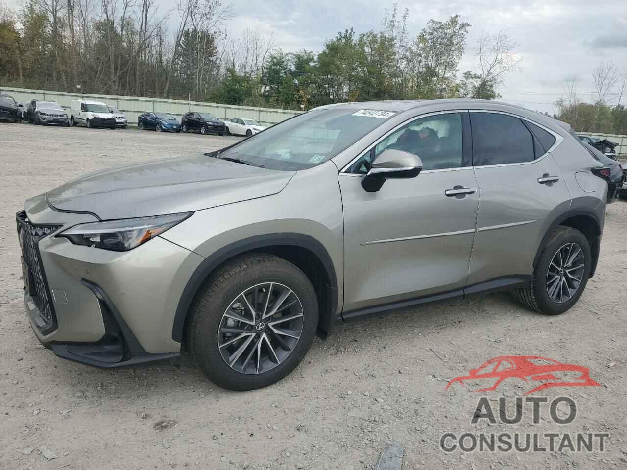 LEXUS NX 350H BA 2025 - 2T2GKCEZ3SC035198