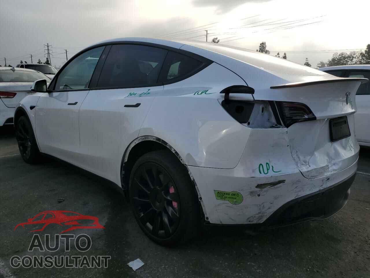 TESLA MODEL Y 2023 - 7SAYGDEEXPF853840